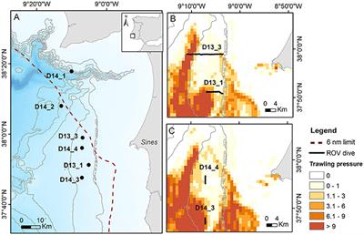 Deep-Sea Mega-Epibenthic Assemblages from the SW Portuguese Margin (NE Atlantic) Subjected to Bottom-Trawling Fisheries